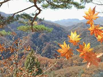 买流产药打胎药保密发货“奔县游”火热，激发县域经济新动能
